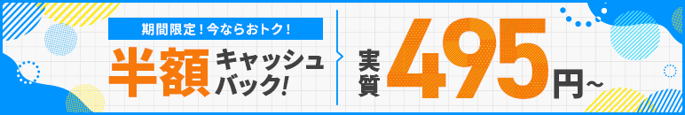 ȾۥåХåڡ󡪰ŪϥڥåС¼495ߤȤ롪